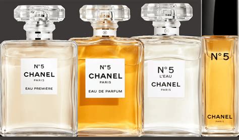 chanel 5 in other domains|chanel no 5 location.